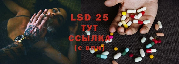 PSILOCYBIN Горно-Алтайск