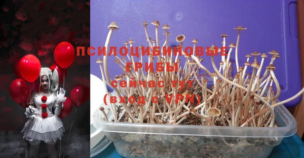 MDMA Premium VHQ Горнозаводск
