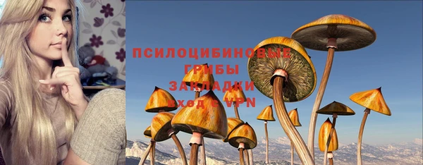 PSILOCYBIN Горно-Алтайск