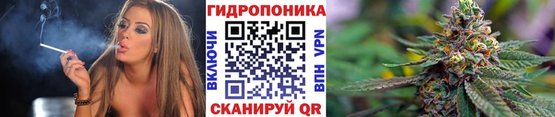 Бошки марихуана White Widow  Архангельск 